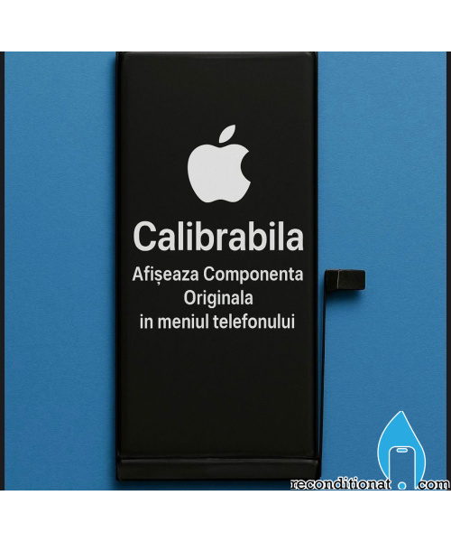 whatsapp_image_2025-12-08_at_23_30_23